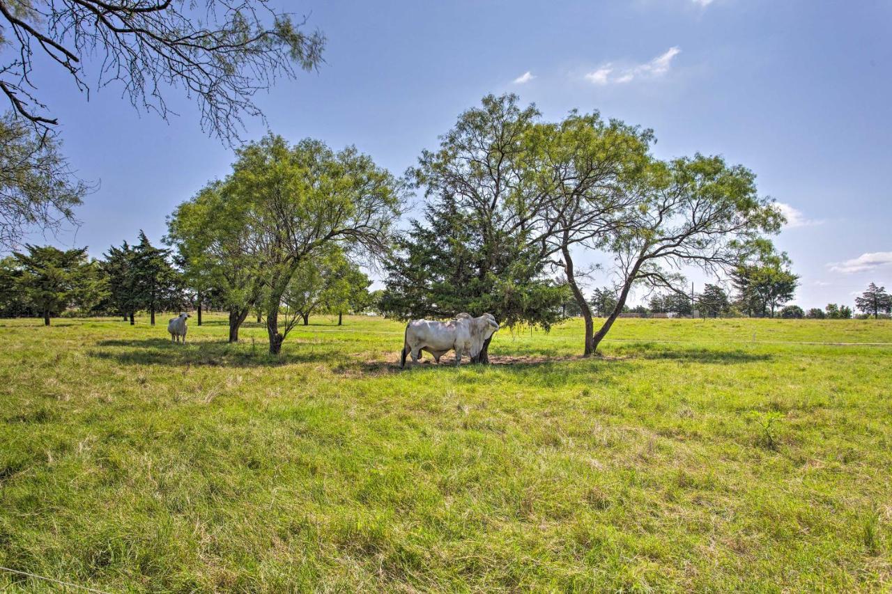 Texas Cabin On 130 Acres Walk To Lake Ray Roberts Collinsville Extérieur photo